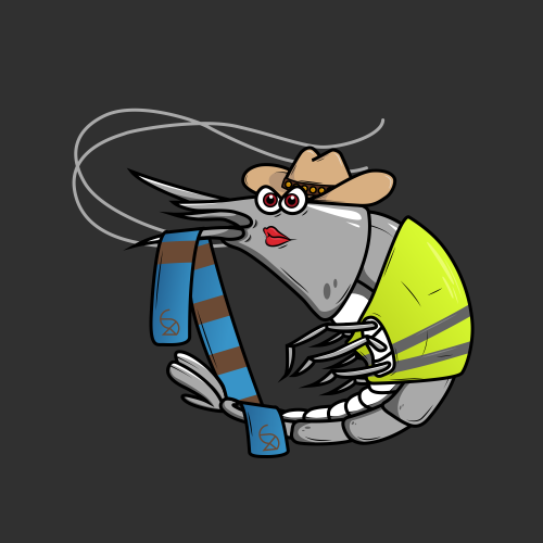 CryptoShrimps 🔺 tweet media