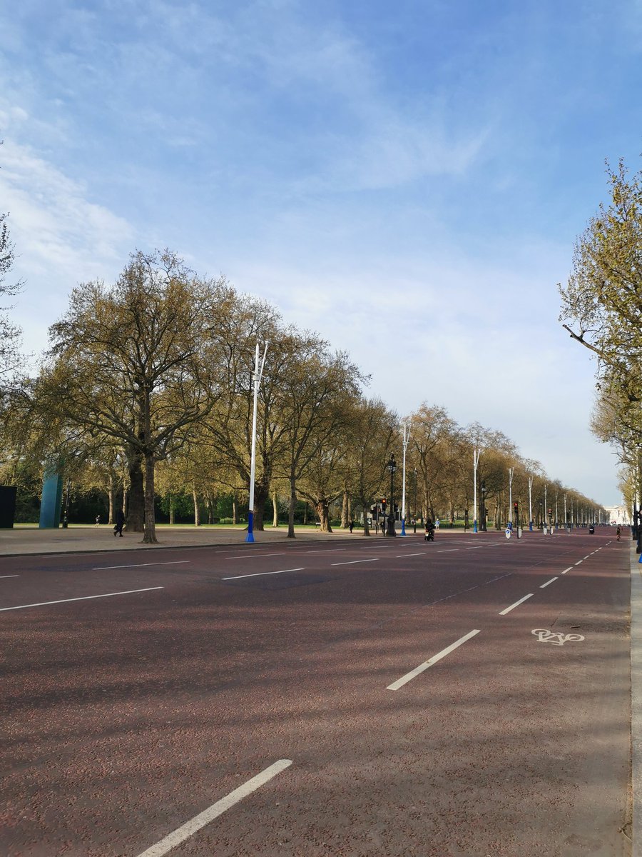 M is for The Mall...and also for the masseter muscle, one of today's points of interest! Let's go with some more learning 🤓 #vocalmassagetraining