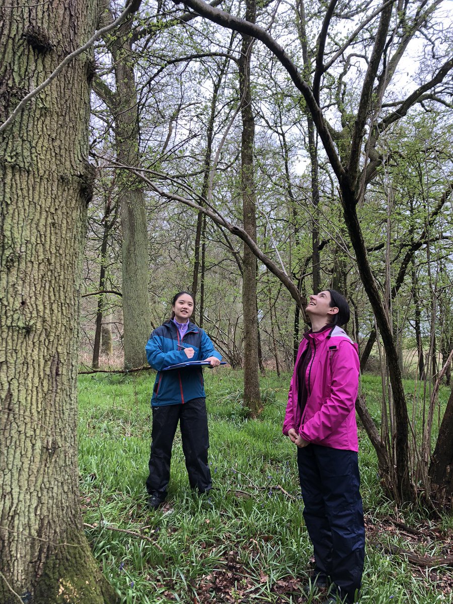 Amy Webster (@amyjw31) on Twitter photo Heart of England and Wyre forest soil sampling trip, for <a href="/VanjaM92/">Vanja Milenkovic</a> to explore the chemistry that influences these healthy and diseased oaks 🌳 Heart of England and Wyre forest soil sampling trip, for <a href="/VanjaM92/">Vanja Milenkovic</a> to explore the chemistry that influences these healthy and diseased oaks 🌳