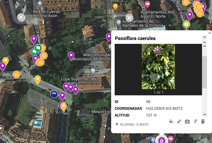 Invasoras Ramales (📧invasorasenramales@gmail.com) tweet media