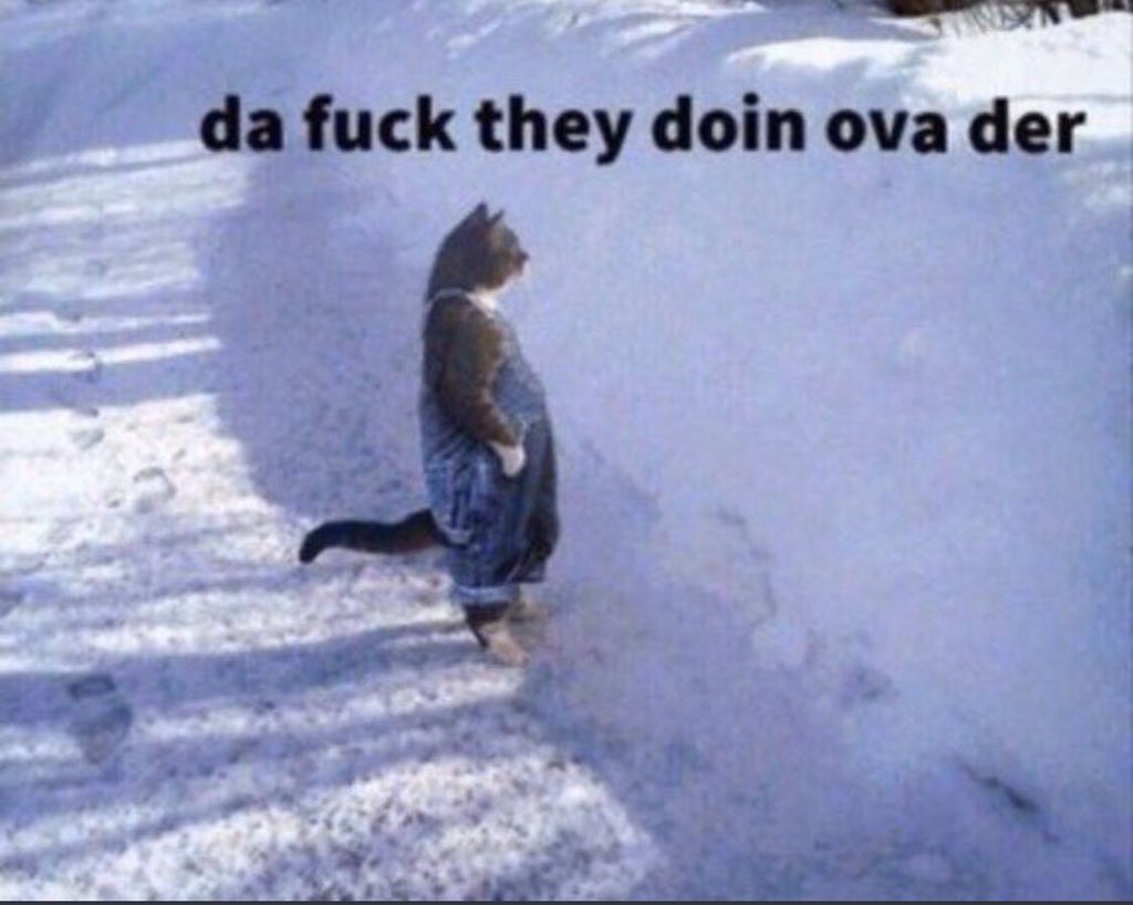 MOON KNIGHT EPISODE 3 SPOILERS
#MoonKnight
-
-
-
-
-
meanwhile, the avengers watching the night sky transform: