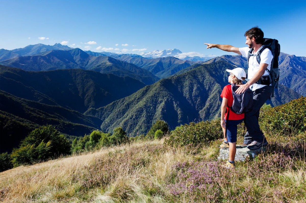SEO_BirdLife's tweet photo. 🗺️🥾🎒 Aquí puedes ver todos los espacios naturales del país, nuestras reservas ornitológicas y los profesionales de turismo adheridos a la iniciativa #Iberaves #turismoornitológico #DePajareo
https://t.co/8cxCctRM8a https://t.co/j7Jy5fKHt4