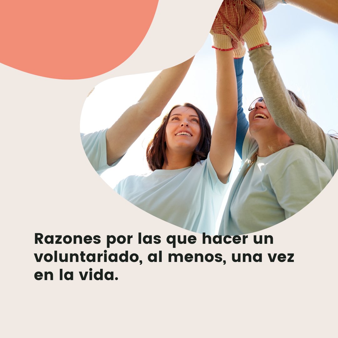 ¿Hacer un #voluntariado? En Acaya decimos Sí 💍. Y estas son las 3+1 razones que te damos 🔽. 

➖ Es una experiencia valorada en el mercado laboral.

➖ Aumentará tu seguridad.

➖ Mejorará tus capacidades comunicativas.

➖ Te permitirá conocer otros modos de vida.

#SomosAcaya
