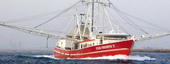 Daystar is currently installing a ground-mounted, 990kW peak solar farm for Atlantic Shrimpers in #Badagry – essentially an island.  The project is very complex because it has to be built from the ground up.