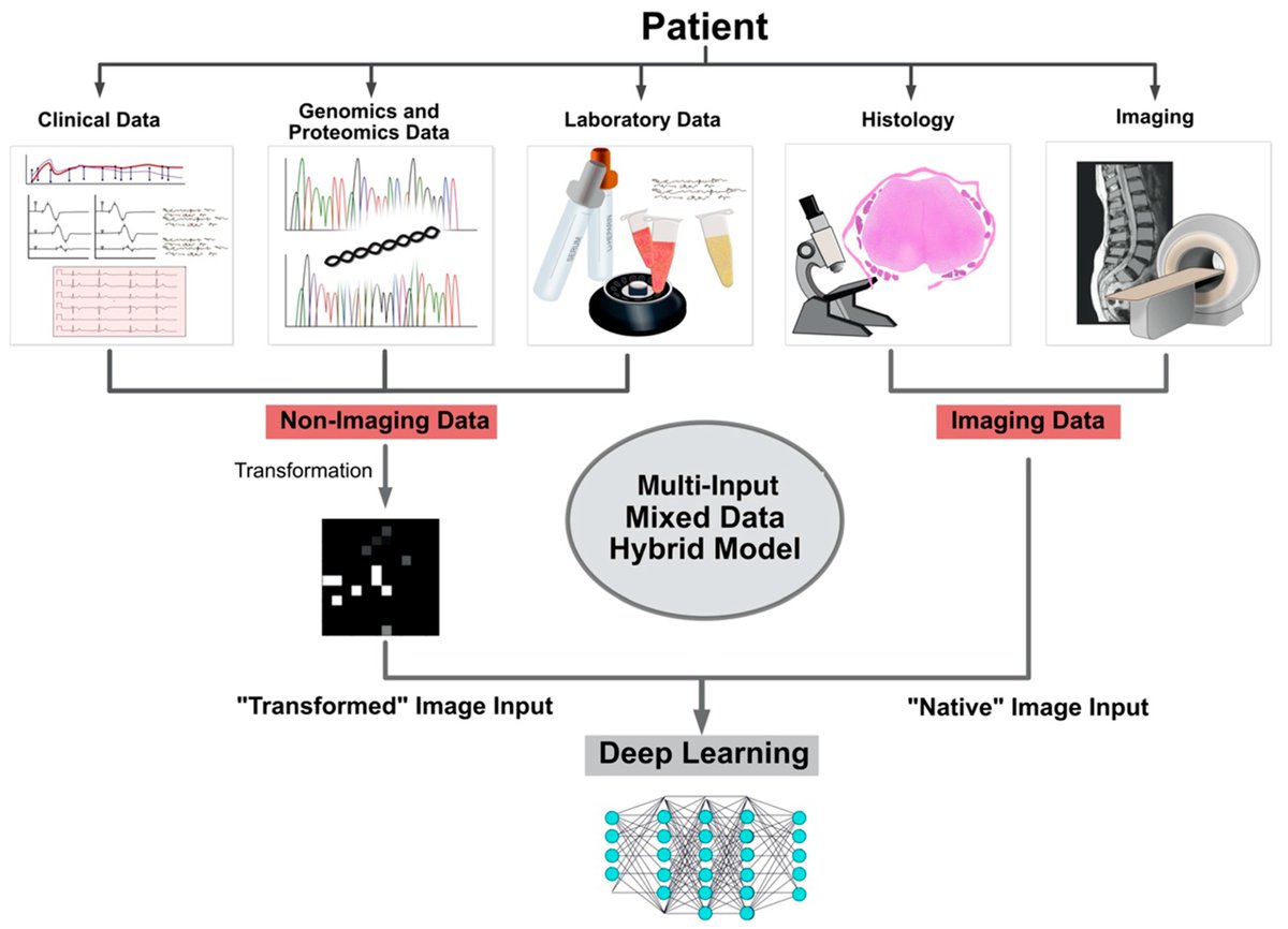 Review: #Artificial Intelligence-Driven Prediction #Modeling and Decision Making in #Spine Surgery Using Hybrid Machine Learning Models by Dr. Babak Saravi from Medical Center-University of Freiburg
mdpi.com/1552994 #mdpijpm via <a href="/JPM_MDPI/">JPM_MDPI</a>
