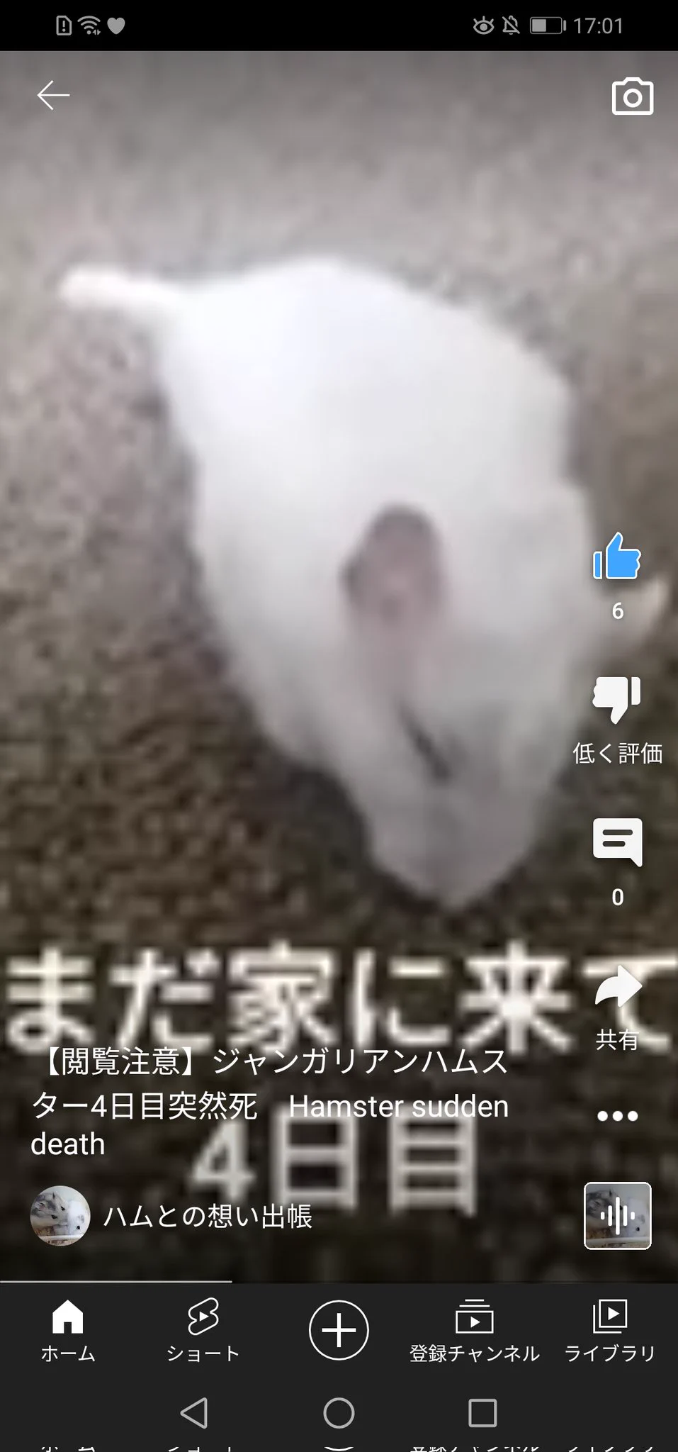 @minicorgi_arare このハムYouTuberの登録者殆ど私なのに4日目にしてハムが死んだ
