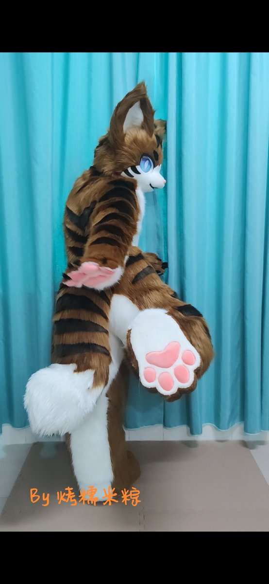 猫猫嘿嘿嘿
