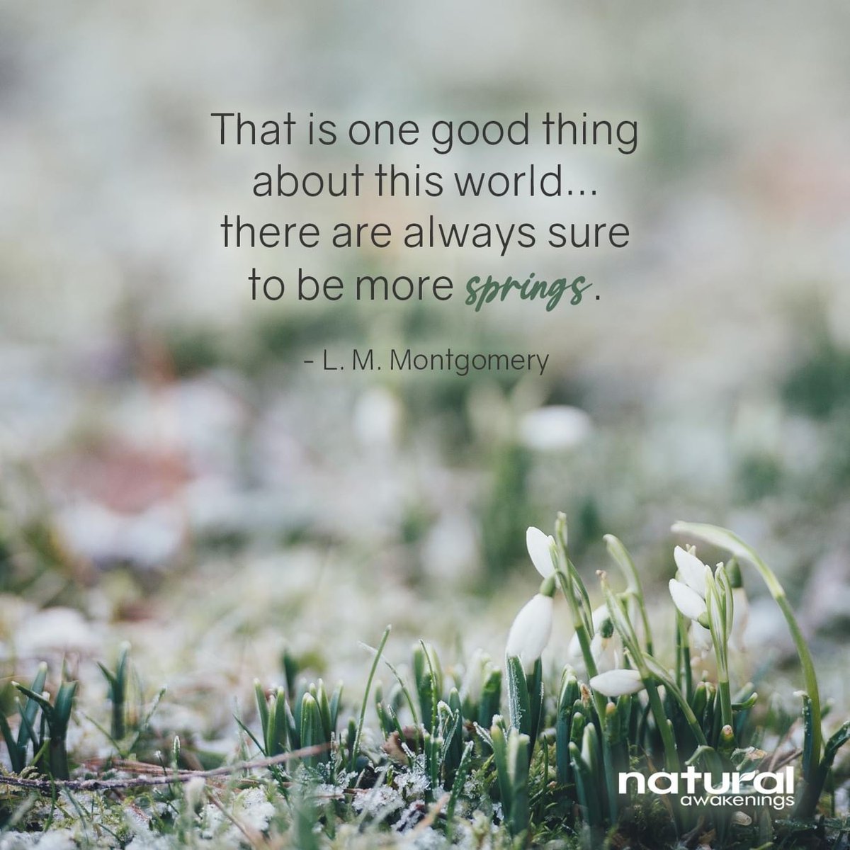 na_carolinas's tweet image. Happy Wednesday!

----------

#springquotes #wednesdaywisdom #healthylivingcoastalcarolinas