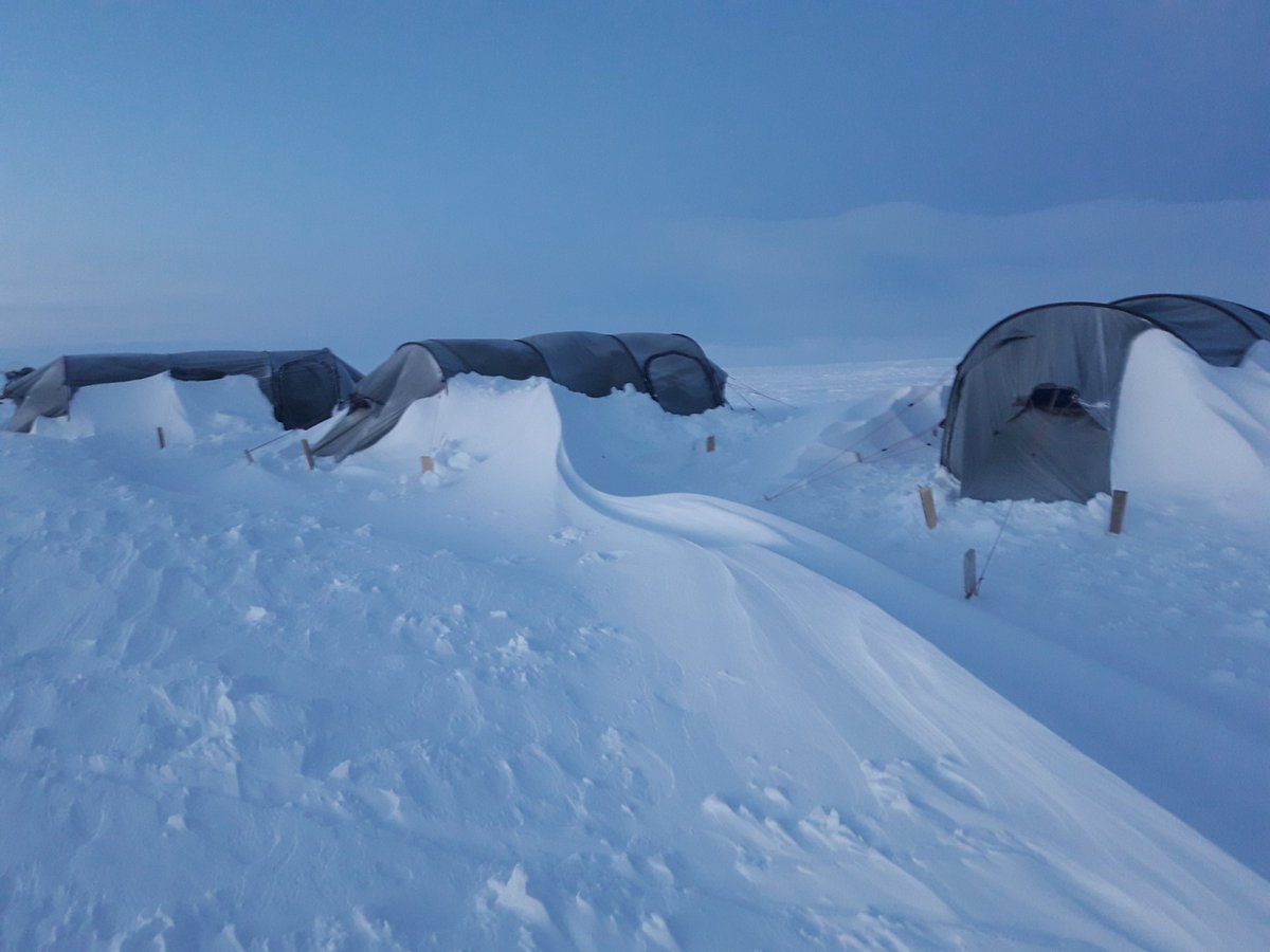 TIcesnow's tweet photo. Slightly exhausted but feeling great after returning from field-work on the remote ice cap Lomonosovfonna in Svalbard! 🤪😅Invaluable learning experience going there with other glaciologists from @UU_University and @UniUtrecht 👨‍🎓 #phdlife https://t.co/r8tQUNHIUu