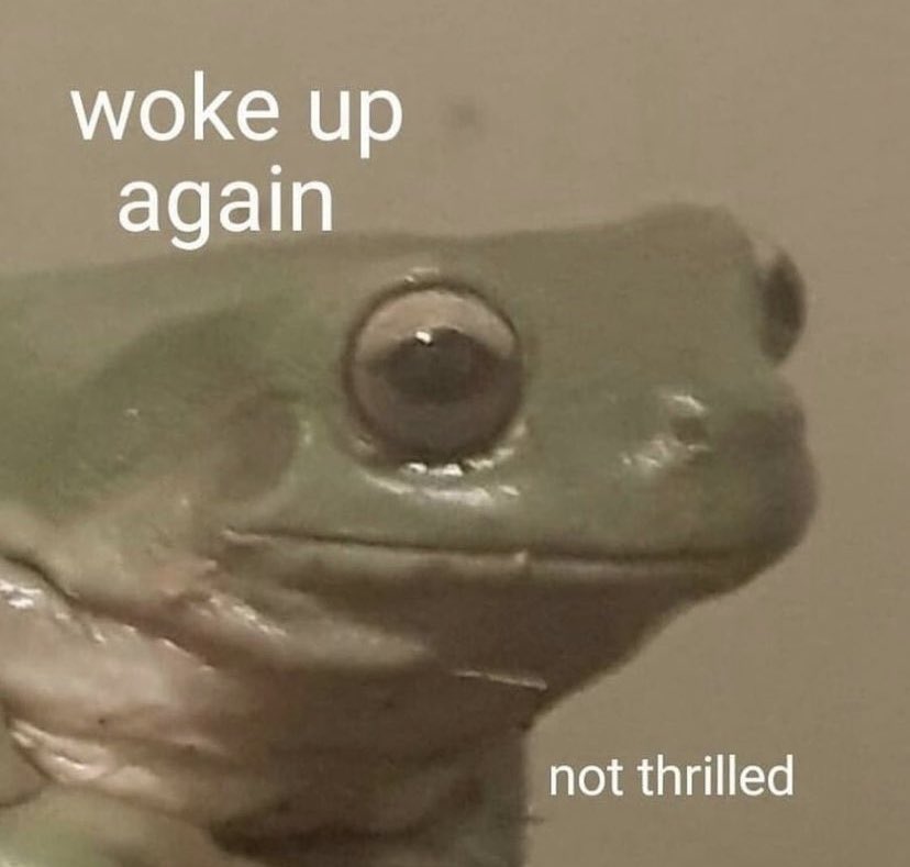 IGNWeldss's tweet image. happy 4 years to me