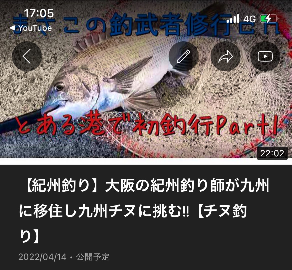 まさこ 紀州釣りyoutube始めました Maasa Kishu Twitter