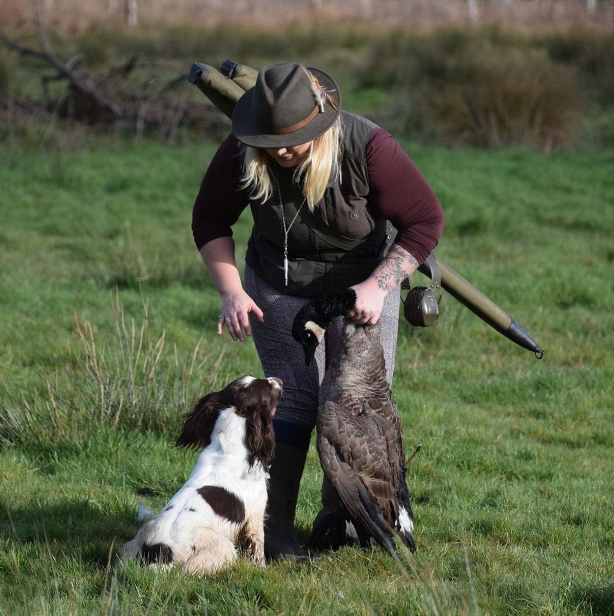 Good dog 🐶 

#ukshoot #ukshootwarehouse #springerspaniel #gundog #goose #gooseshooting #shooting #gundogsofinstagram #gundogtraining #ruralsports #fieldsports #shootinggame
