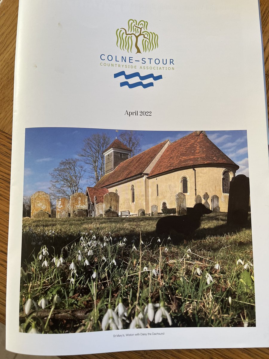 Rosie P 🦇 🦎 🕷️ 🦭 🐌 🍃🌳🚲💧 tweet media