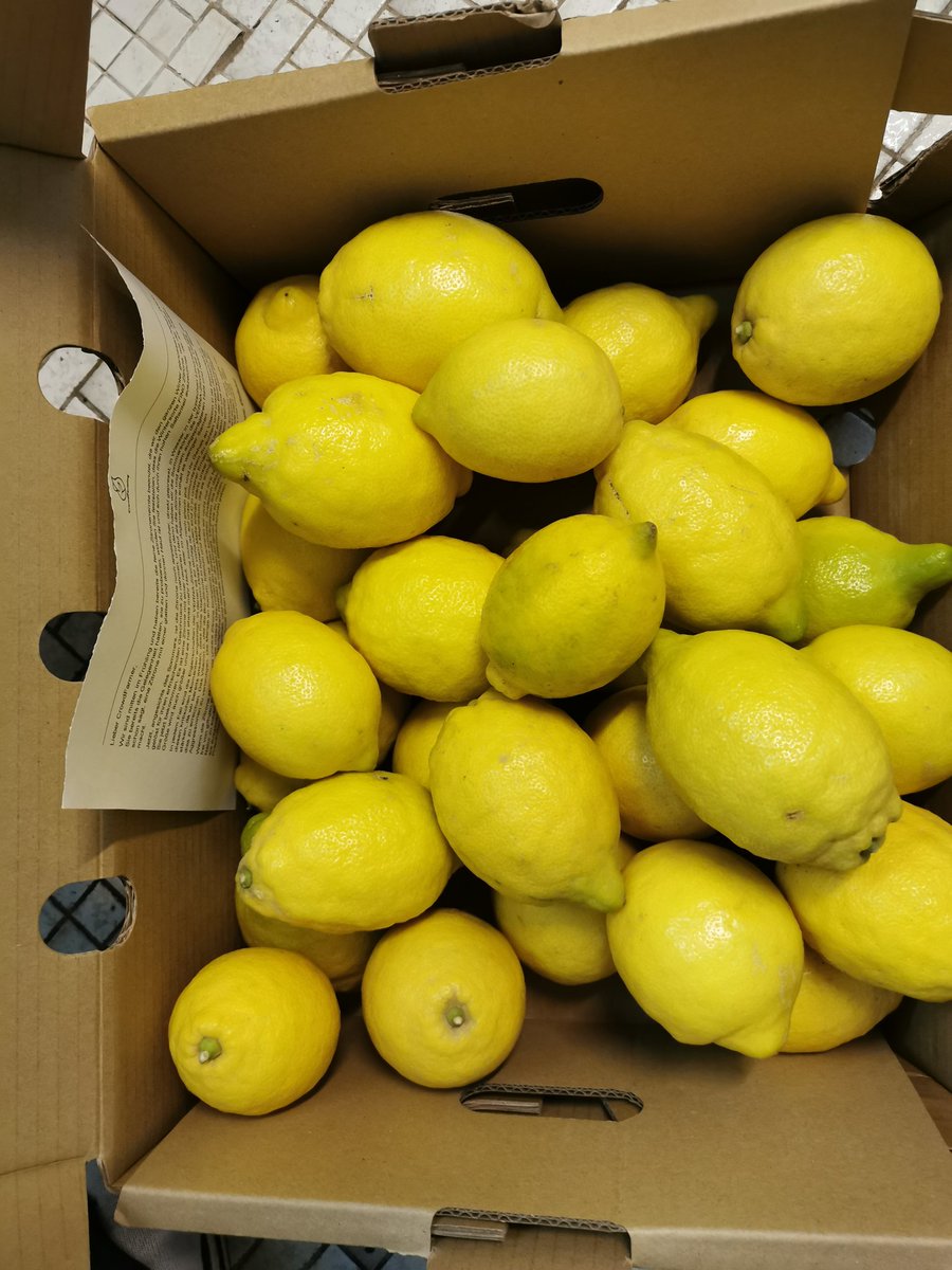 Bei der CrowdFarming bestellte Zitronen sind angekommen. Die Verarbeitung kann beginnen. Super Qualität