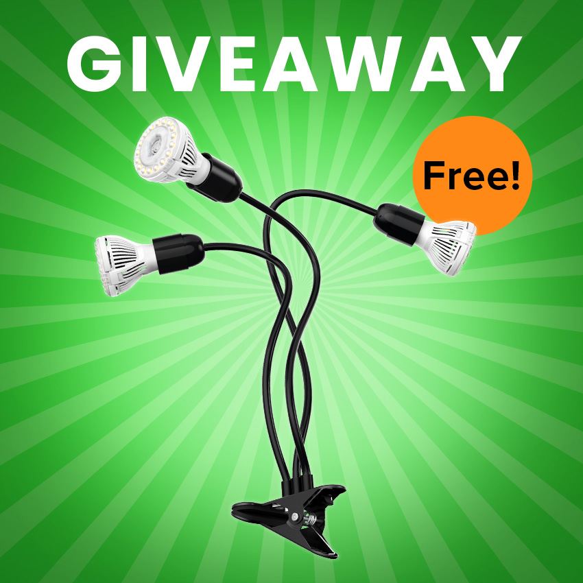 sansitechnology's tweet photo. April Giveaway! 
Enter to grab 30W adjustable 3-head clip-on led grow light!
Explore now: https://t.co/CmhZ1T9Wr0

#sansi #sansiled #giveaway #giveaways #win #giveawaycontest #aprilgiveaway #planting #free #growlight #gooseneck #contest #freegift #plants #houseplant #indoorplant https://t.co/diLGEA2qMf