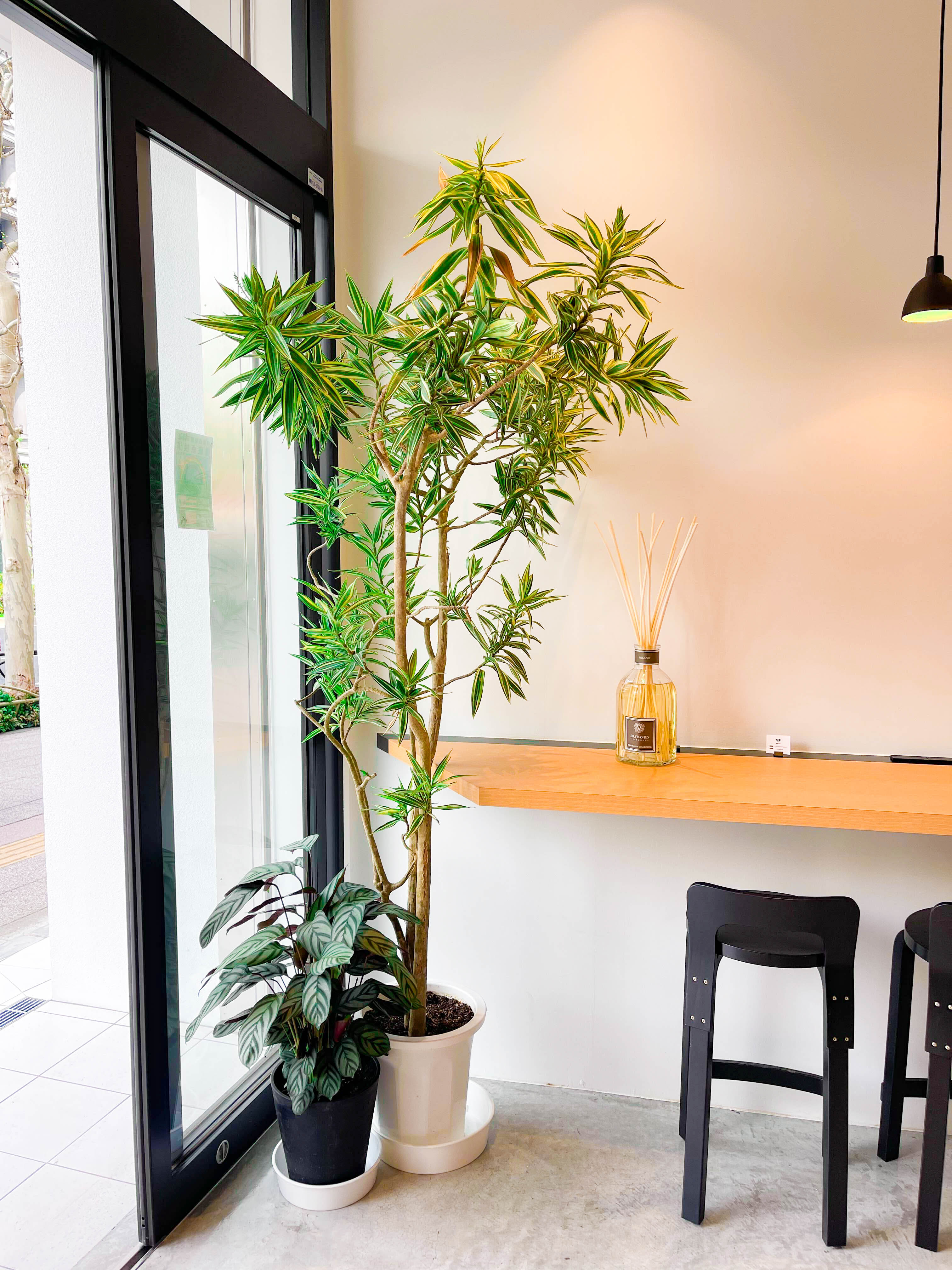 X Mobile Cafe Akasaka Xmobilecafe Twitter