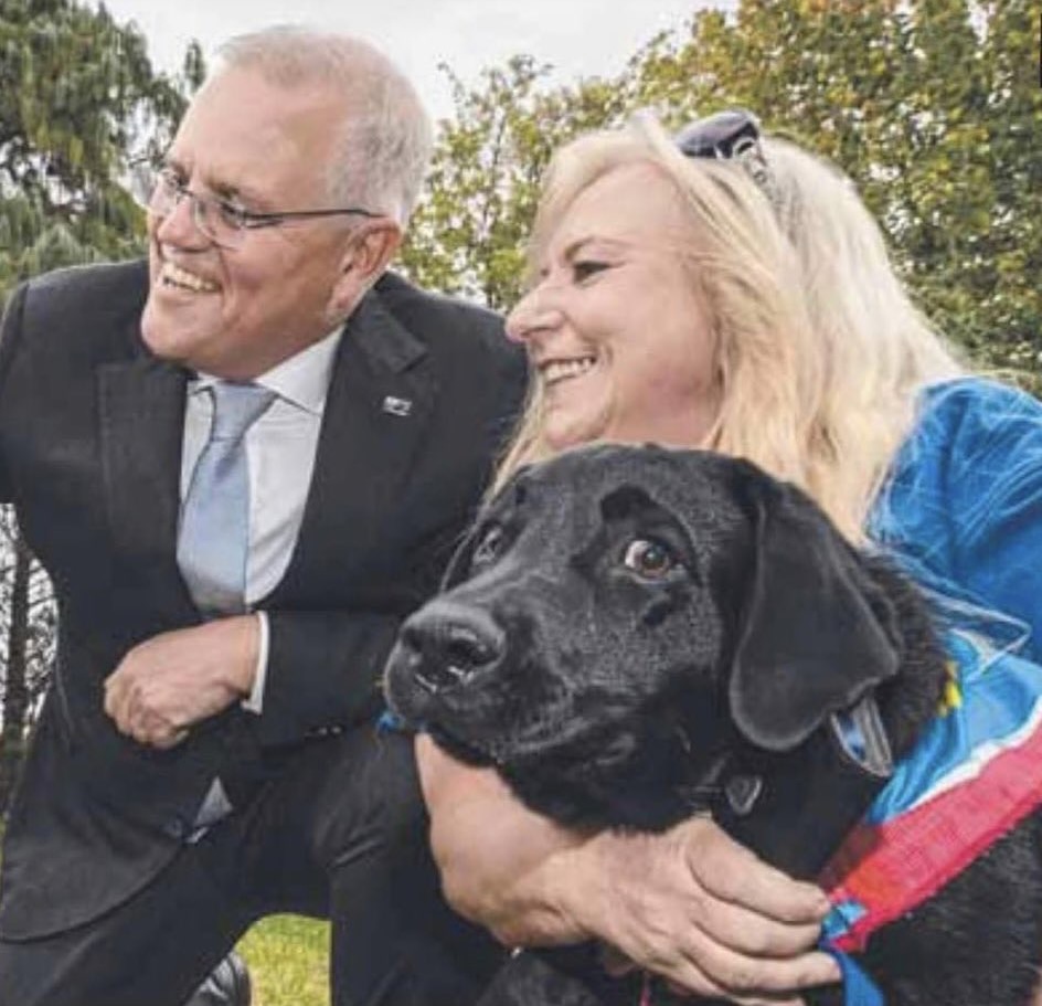 KieraGorden's tweet image. Dogs know. They ALWAYS know. #ScottyTheCompletePsycho #AusPol