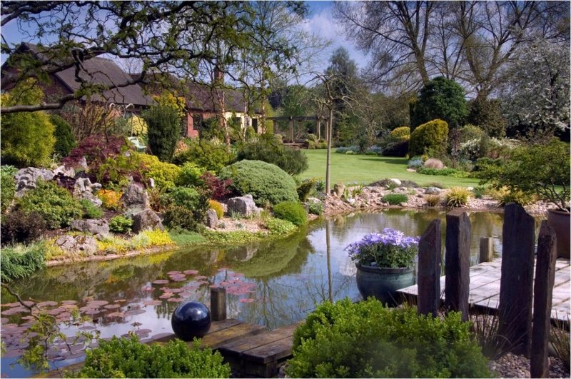 Sun 17 April 'John's Garden' Ashwood Nurseries nr Kingswinford DY6 0AE Open 10-4. findagarden.ngs.org.uk…/johns-garden-at-ashwood-nu…
Stunning private garden. Huge plant collection, woodland dells, rock garden, Anemone pavonina &amp; wildlife meadows. Malus and Amelanchier.