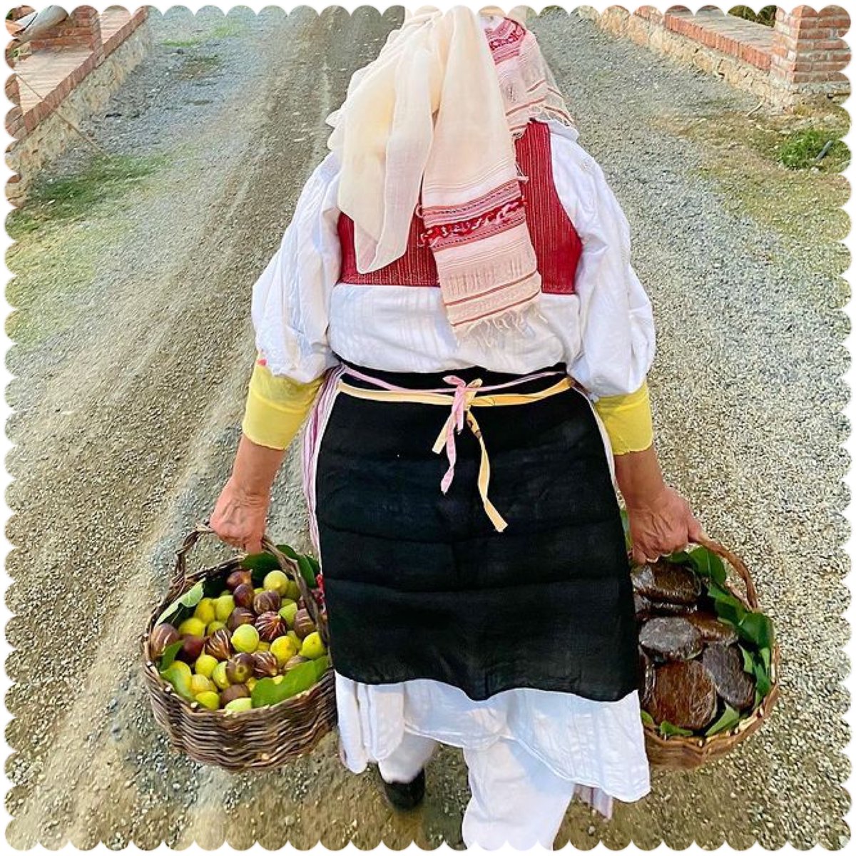 Frida Zylka tweet media