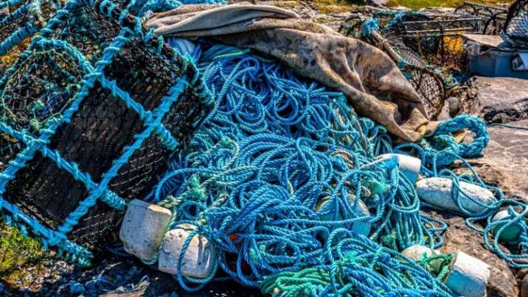 George Cole tweet media