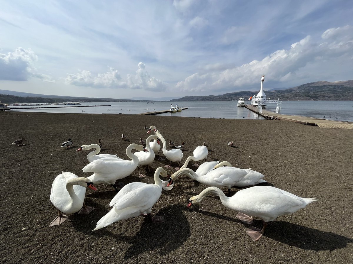 山中湖の大家族。