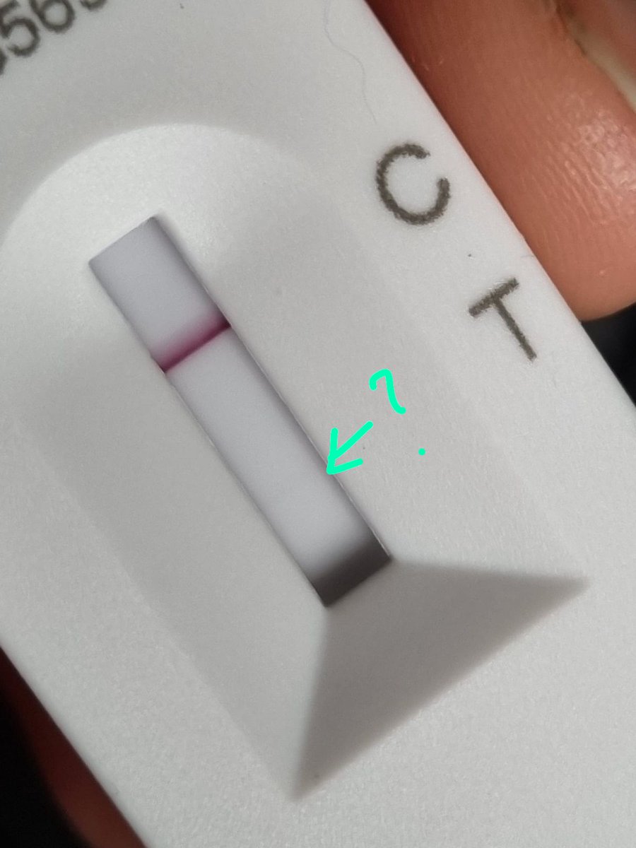 Amy W Schwartz tweet media