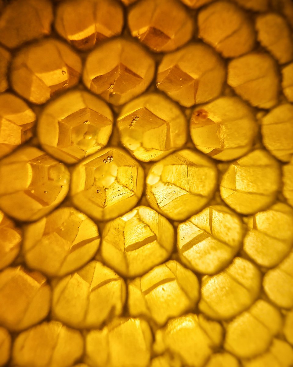 AudiPhotography's tweet photo. Harvesting honey :) https://t.co/8QUiiNO5Z4