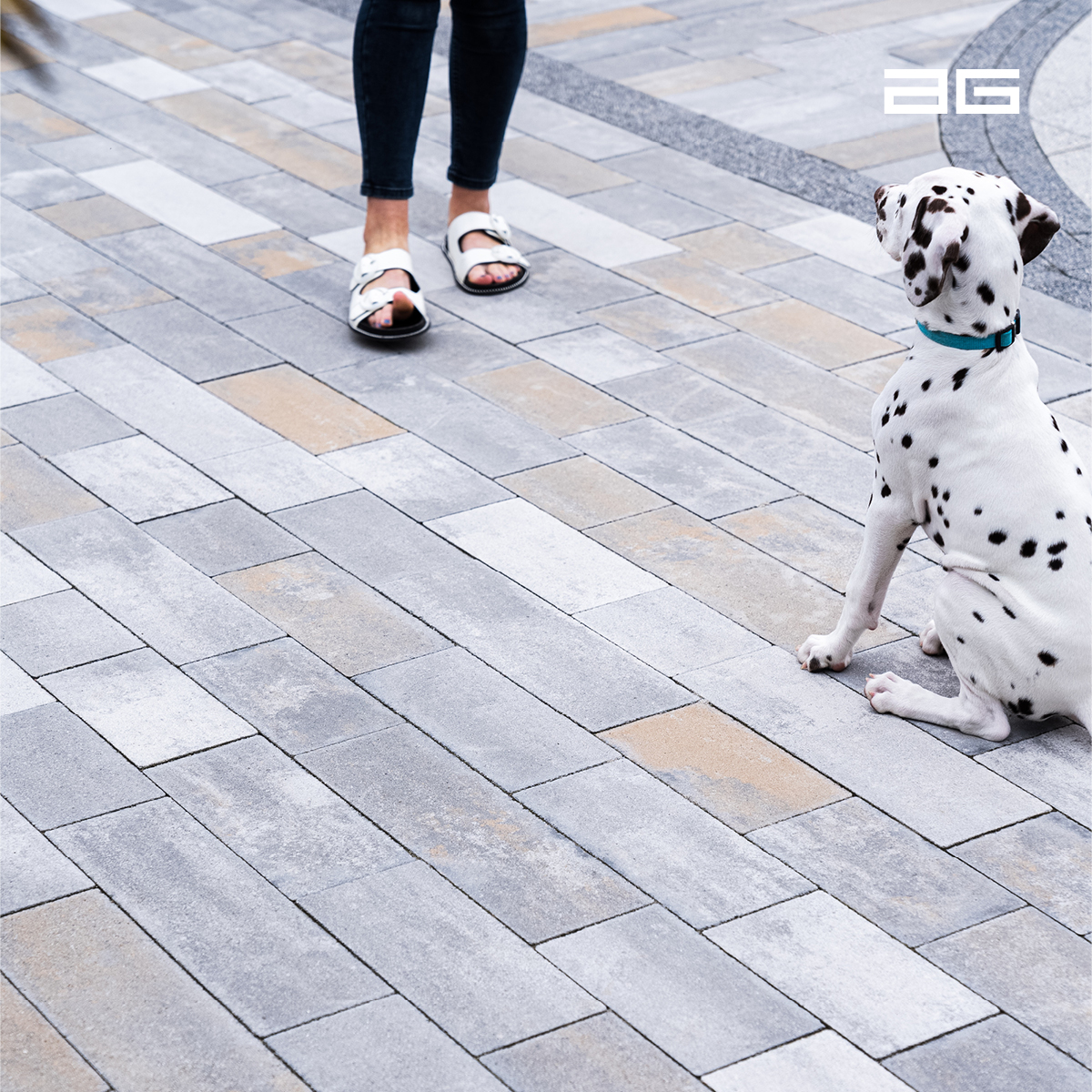 Parker Building Supplies (@parkerbuilding1) on Twitter photo Long Stone from <a href="/AchesonGlover/">AG Paving and Building Products</a> is a range of premium, smooth finish, porcelain- effect plank paving – available in two vibrant colour blends.
This premium collection creates crisp lines and reduces maintenance.
ag.uk.com/outside-rooms/…
#PlankPaving #AGPremiumPaving Long Stone from <a href="/AchesonGlover/">AG Paving and Building Products</a> is a range of premium, smooth finish, porcelain- effect plank paving – available in two vibrant colour blends.
This premium collection creates crisp lines and reduces maintenance.
ag.uk.com/outside-rooms/…
#PlankPaving #AGPremiumPaving