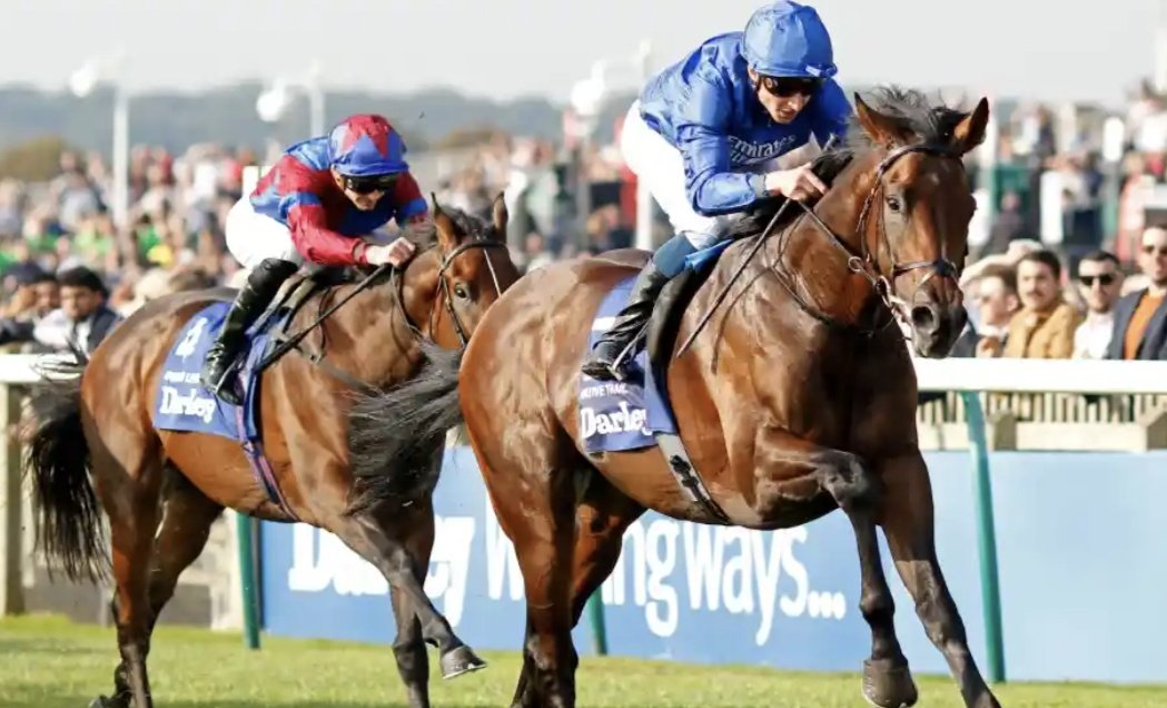 Stephen R Power (@racingblogger) on Twitter photo 🔵 If NATIVE TRAIL wins the Craven Stakes at Newmarket today I'll give £50 CASH 💷 to one of you lucky people!
To Enter: 👇
1️⃣ RT this Tweet
2️⃣ Follow <a href="/racingblogger/">Stephen R Power</a>
👉📸 instagram.com/racingblogger/
#Newmarket #Winners #Giveaway 🔵 If NATIVE TRAIL wins the Craven Stakes at Newmarket today I'll give £50 CASH 💷 to one of you lucky people!
To Enter: 👇
1️⃣ RT this Tweet
2️⃣ Follow <a href="/racingblogger/">Stephen R Power</a>
👉📸 instagram.com/racingblogger/
#Newmarket #Winners #Giveaway