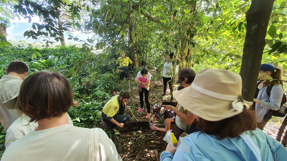 My #biologicalinvasions students <a href="/jcu/">James Cook Uni</a> loved their day out surveying for #yellowcrazyants with <a href="/WetTropicsMA/">Wet Tropics Management Authority</a> <a href="/ISCAustralia/">Invasive Species Council</a> &amp; <a href="/TSVCouncil/">Townsville City Council</a>. Big thanks to all! Important to link theory to real-world applications with community partners.