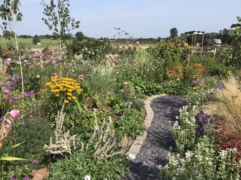 Sat 23 April 11– 4 Springfield Cottage, Kiddemore Green Road, Bishops Wood, Stafford ST19 9AA findagarden.ngs.org.uk/ga…/43673/springfield-cottage Enthusiasts cottage garden, established vegetable garden with large greenhouse, extensive.