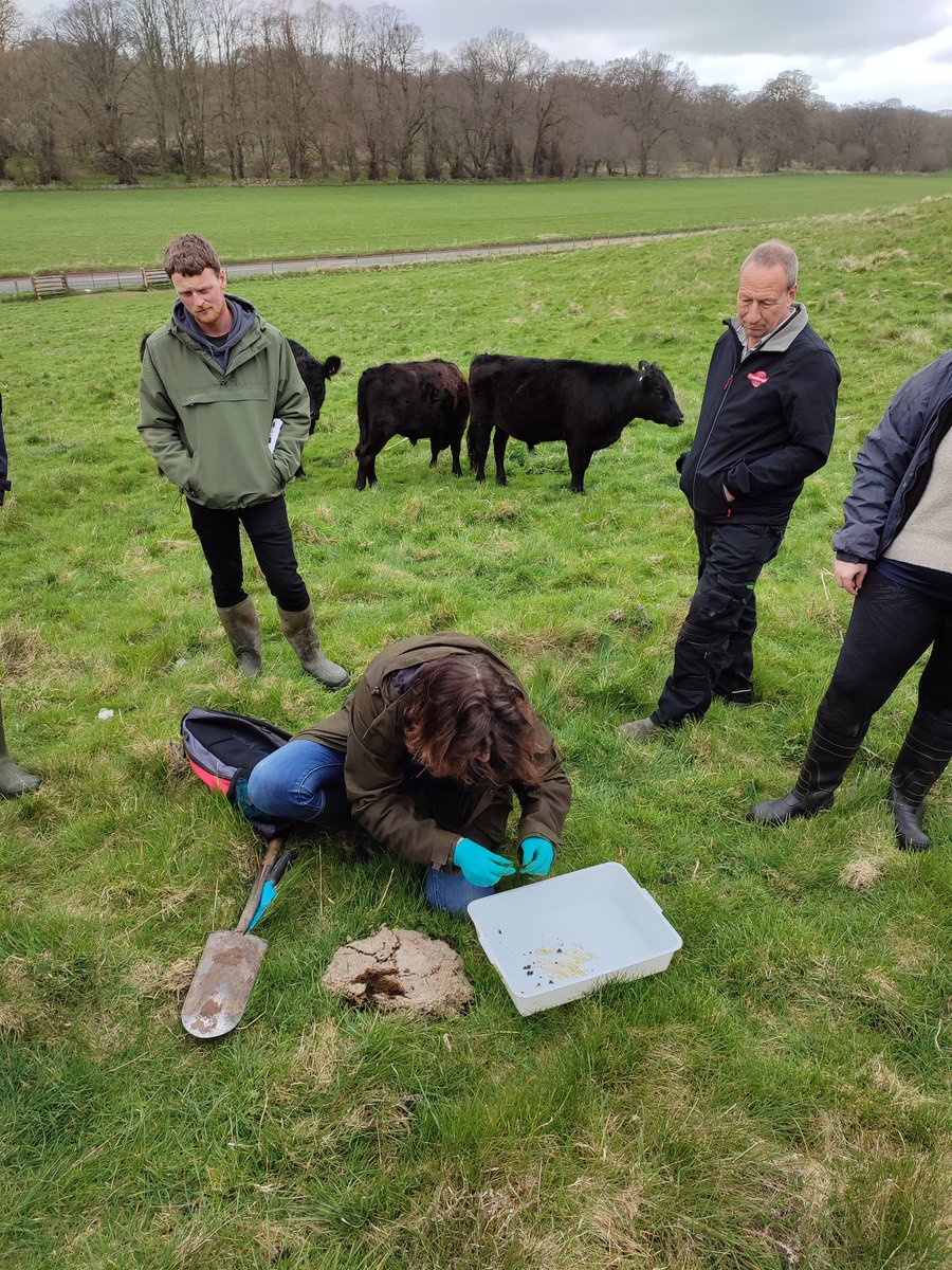 Sophie Wilson tweet media