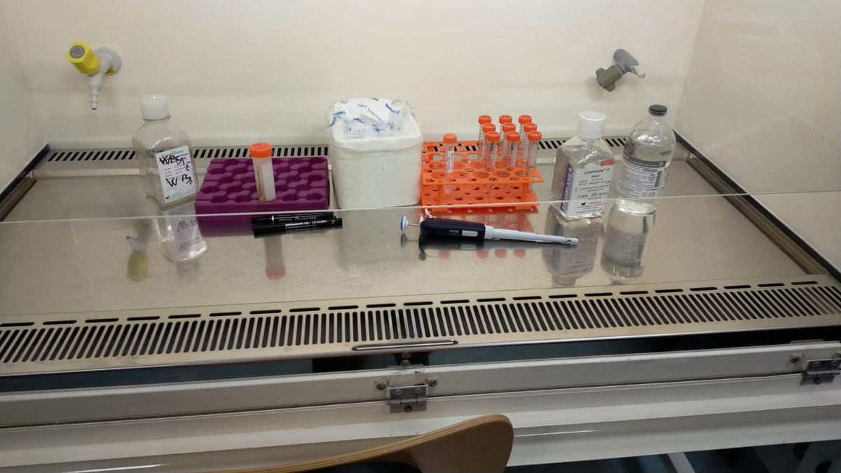 Luca Massimino (@lucamassimino) on Twitter photo Big ups today! <a href="/Fede917119011/">Federica Ungaro</a> and <a href="/silvio_silvio75/">Silvio Danese</a> laboratory officially started and performed the very first experiment at <a href="/SanRaffaeleMI/">Ospedale San Raffaele</a>! Big ups today! <a href="/Fede917119011/">Federica Ungaro</a> and <a href="/silvio_silvio75/">Silvio Danese</a> laboratory officially started and performed the very first experiment at <a href="/SanRaffaeleMI/">Ospedale San Raffaele</a>!
