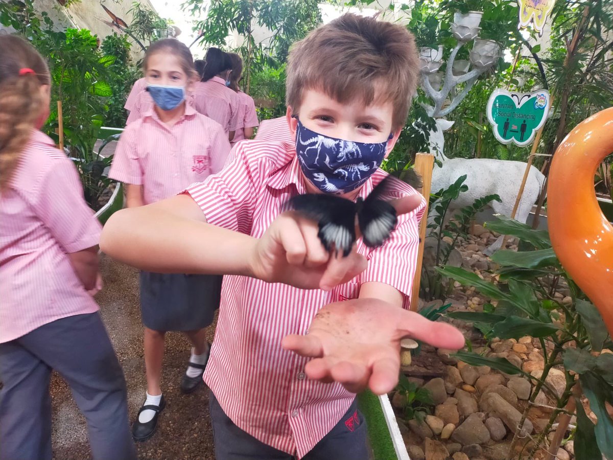 DESSyear5's tweet photo. 5 Yellow at the butterfly farm π¦π #DESSstem #DESSscience #DESSstemweek https://t.co/TXu2tDAXNM