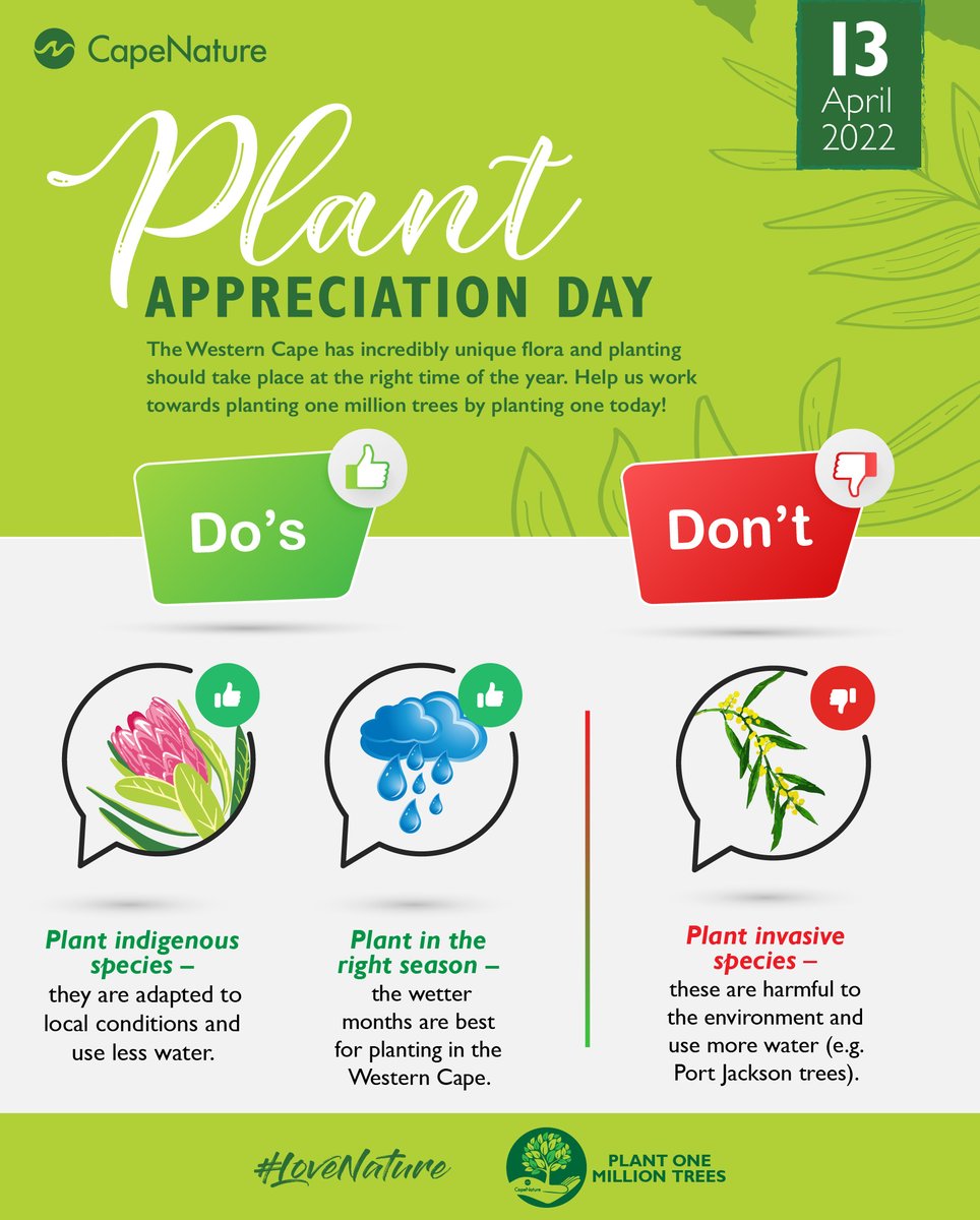 Happy International Plant Appreciation Day!🌺💚

This year, CapeNature is highlighting the special attributes of plants and the unique climate of the Western Cape.

Find out more in the article below 👉  zcu.io/tVKz   

#CapeNature #plantappreciationday