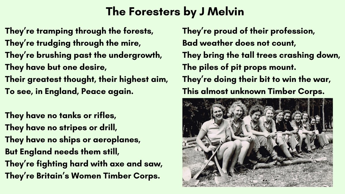 The Foresters