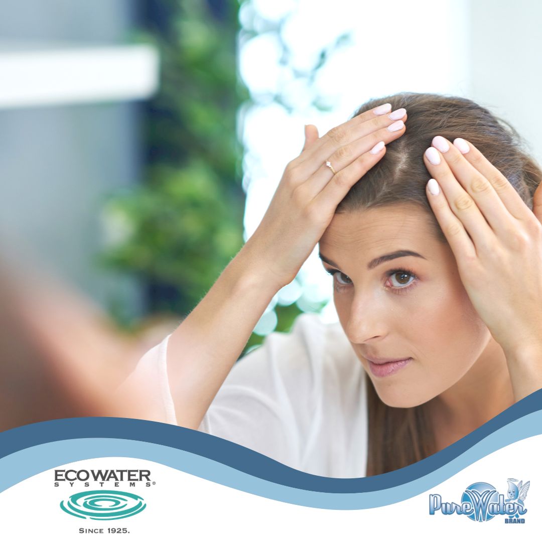 PureWaterYQG's tweet photo. Is your hard water making your hair and skin dull❓

EcoWater systems can help promote:

✔️Softer skin,
✔️softer hands,
✔️softer hair

Call 📞 519-948-3833 for more info!

#wednesdaywisdom #YQG #PureWaterYQG #PureWater #YQGbusiness #Ckont #WindsorEssex #YQGfit #YQGhealth https://t.co/HNMqeIUSOn