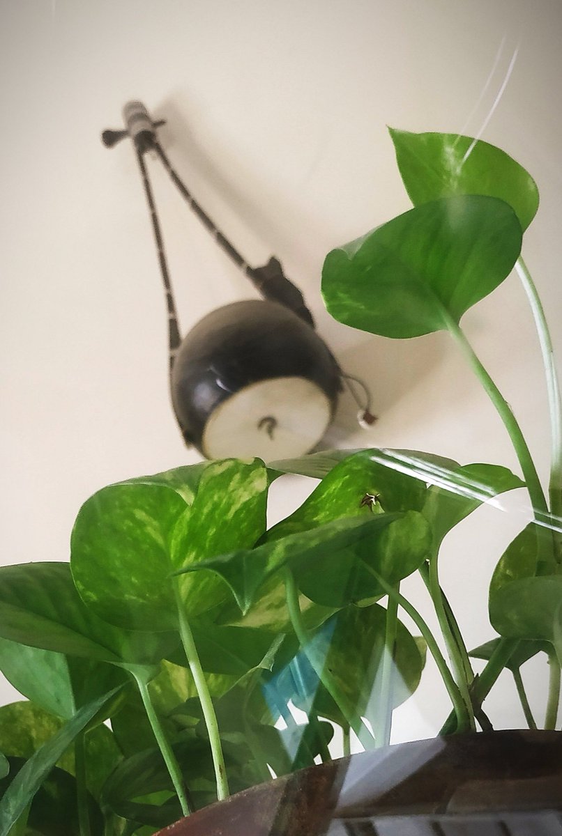 mehedilalon's tweet image. #একতারা #Ektara #Bangladeshi #dhaka #kustia #Fakir_Lalon_Sha #ফকির_লালন_শাহ্ #mehedilalon