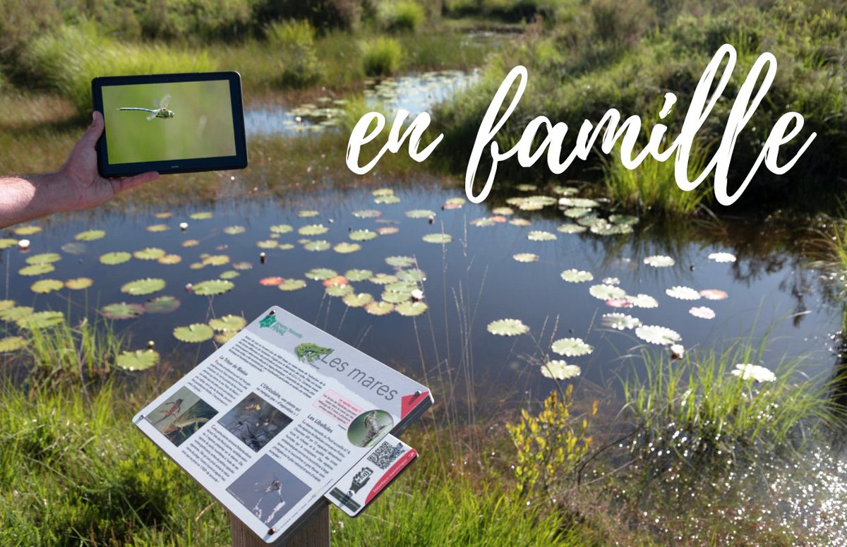 OTChatellerault's tweet photo. EXPÉRIENCES FAMILLE 👏 Félicitations à la #RéserveNaturelle du #Pinail sélectionnée par @tourisme86 pour Le Petit explorateur du Pinail.
📌 Gratuit! Réservez votre kit jumelles, tablette numérique, livret découverte, guide de reconnaissance des espèces 👉https://t.co/rv1eY02n5Z https://t.co/Ak0n4XtFhm
