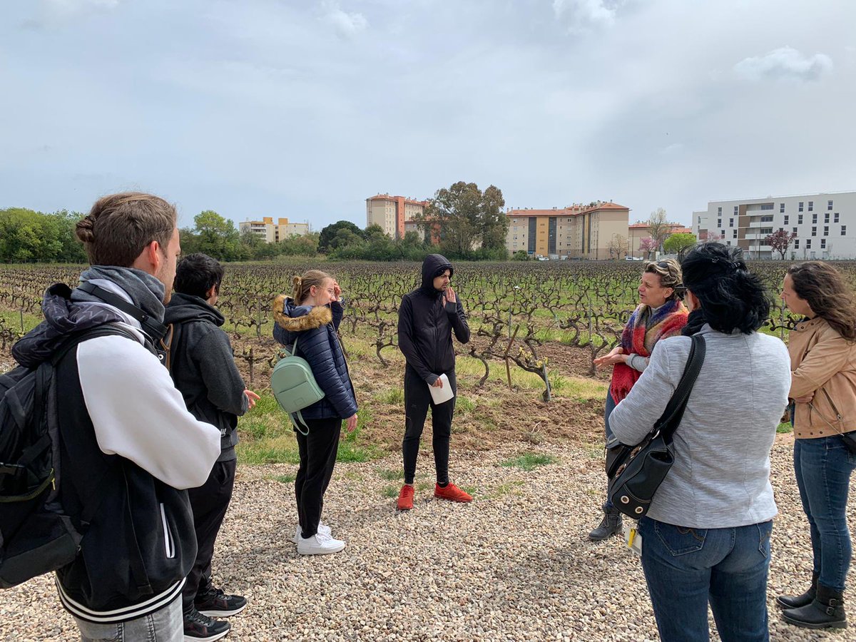 Elbaoudi4's tweet image. #semaineagriculture Curieux de découvrir comment fonctionne 1 domaine #viticole, les Jeunes du CEJ #PoleEmploi #Fréjus @poleemploi_VAR se sont rendus hier en visite au @jas-des-olivies. La rencontre fut très fructueuse. Merci 🙏 pour l'accueil chaleureux