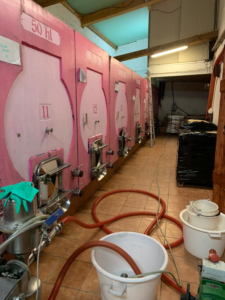 Elbaoudi4's tweet image. #semaineagriculture Curieux de découvrir comment fonctionne 1 domaine #viticole, les Jeunes du CEJ #PoleEmploi #Fréjus @poleemploi_VAR se sont rendus hier en visite au @jas-des-olivies. La rencontre fut très fructueuse. Merci 🙏 pour l'accueil chaleureux