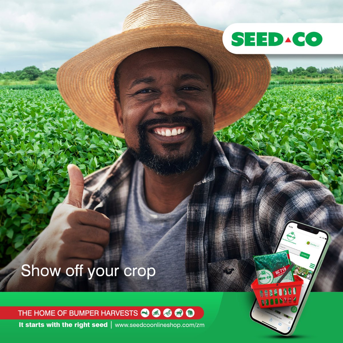 SeedCoZambia's tweet photo. Selfie time! The competition is almost closing. Be part of the winning team by sharing your crop selfie in our DMs or the replies below. We have plenty amazing prizes in store for you.
#SC733 #SC719 #SC647
#ItStartsWithTheRightSeed
#TheHomeOfBumperHarvests https://t.co/6gEdlGKTVb
