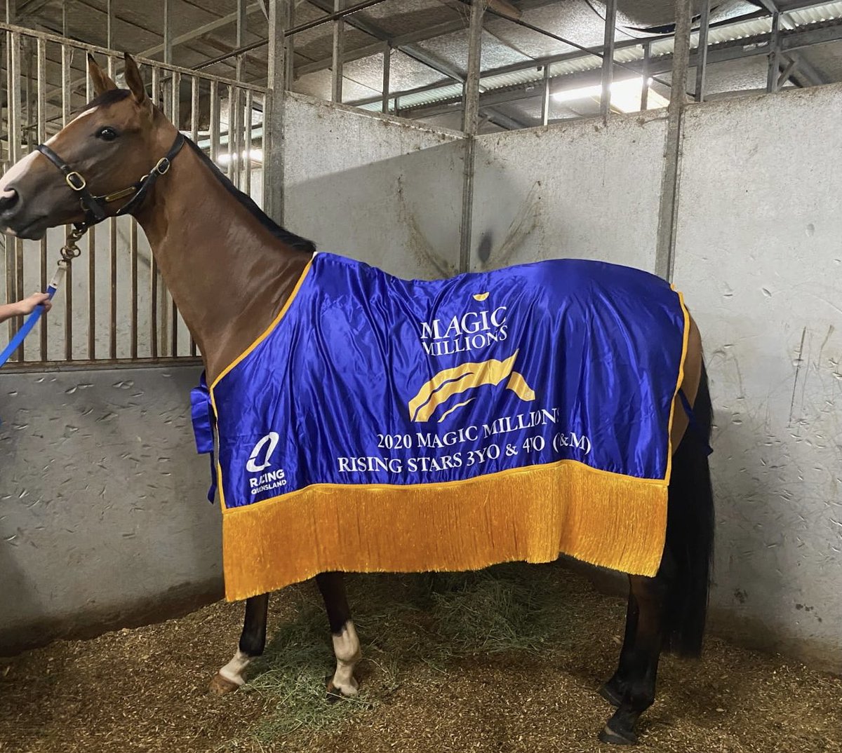 Have a crack at the group 1 Tatts Tiara with Yamazaki. She will be at the MM National Racing and Broodmare sale in May. She has been a great mare to own and  and she has a brilliant constitution for the breeding barn!! 
⁦<a href="/mmsnippets/">Magic Millions</a>⁩ ⁦<a href="/TBozz23/">Tommi Boz</a>⁩ ⁦<a href="/widdenstud/">Widden</a>⁩