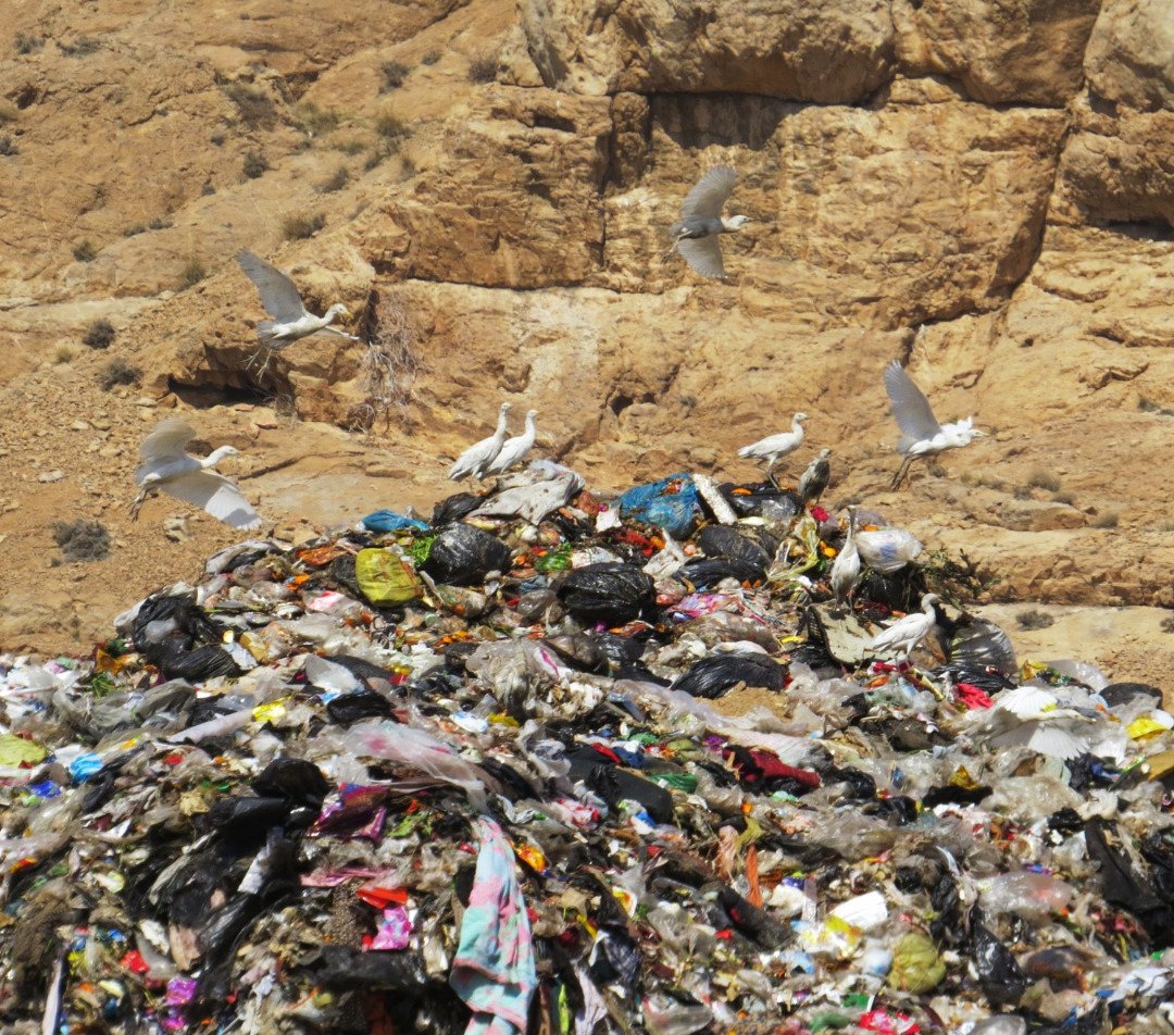 Jnwamson's tweet photo. Waste is a disaster to the world #environment
until will embrace #recycling as a lifestyle because #climate change is not news but now a reality let's take responsibility. #biodiversity #plasticpollution
#ecosystem #Conservative
#stockholm50 https://t.co/pPPTfNfZeV