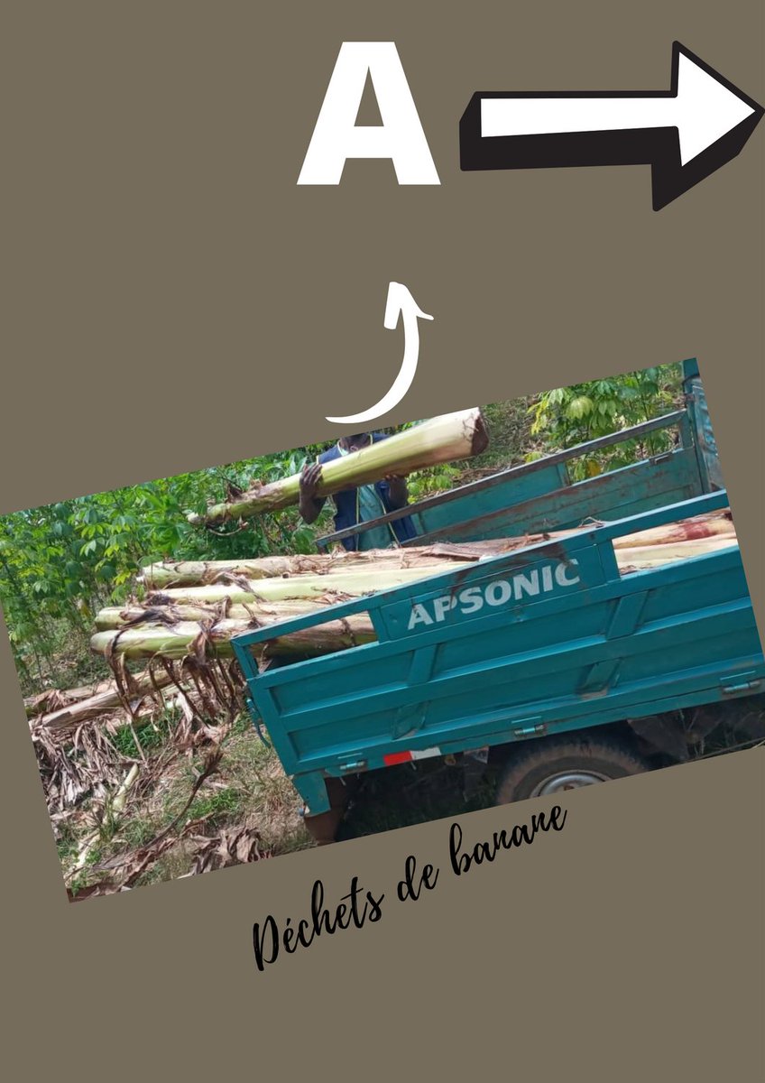 AGRIBANANA Bio tweet media