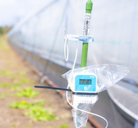 tanddeurope's tweet photo. The T&D TR42 data logger is used for temperature monitoring in the greenhouses where the exclusive, Japanese Kurayoshi watermelons are grown.
Splash-proof IP64, easy to use. Data can be accessed on a smartphone and collected in the cloud.
#greenhouse #Temperaturecontrol #TR42 https://t.co/nvDuJNxwYO