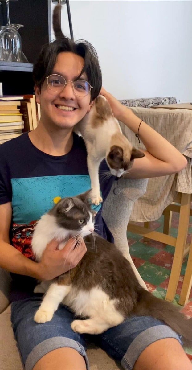 En Gatos en adopción nos congratulamos por la calidad de nuestros adoptantes.  Esvan ha adoptado a Pizzicato y Johnny, dos gatos que alimentamos en la calle, rescatamos y juntos, hicieron linda amistad. Esvan buscaba un gato y al conocer su historia, decidió adoptarlos juntos!