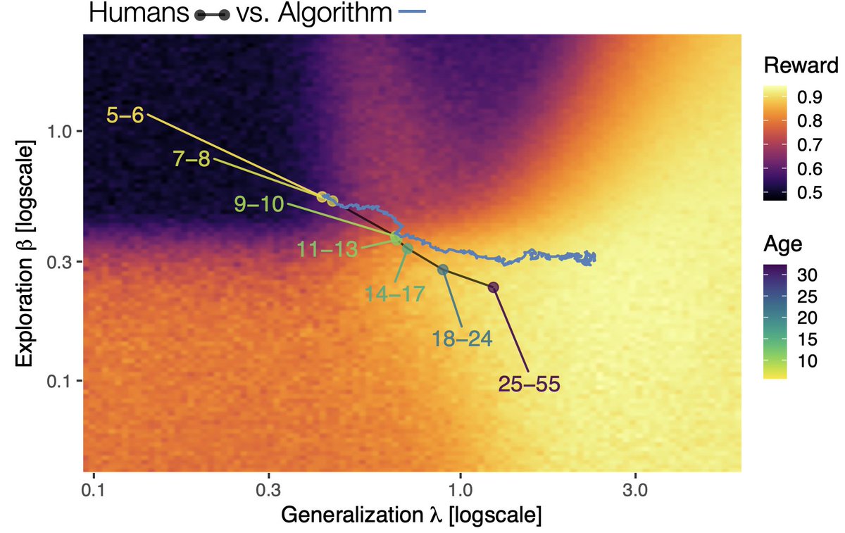 🚨Preprint alert! psyarxiv.com/9f4k3/ An influential theory by @AlisonGopnik describes human development to stochastic optimization. Here, we provide the first empirical comparison, using data from n=281 subjs between 5-55 yrs of age, with some surprising results