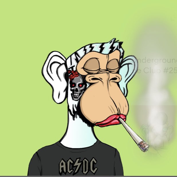 HowardSigley's tweet photo. My AC/DC Ape 🔥@UndergroundApes https://t.co/4JZaT7uWxm