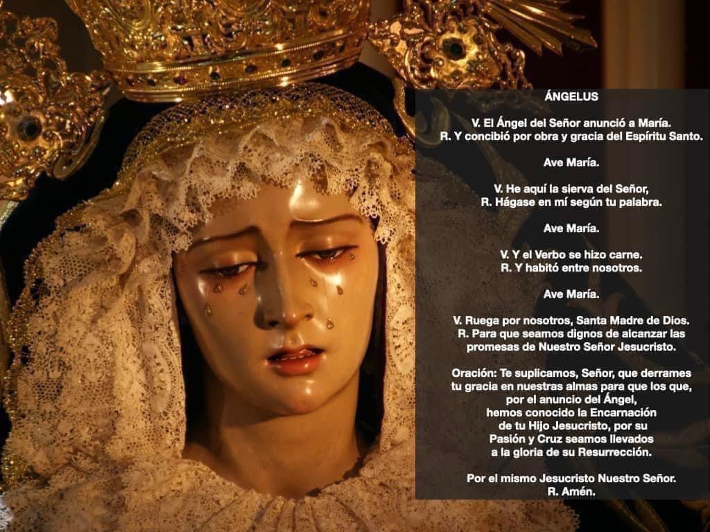 HExpiracionJaen's tweet photo. REZO DEL ÁNGELUS

12:00 H. Rogamos a la Santísima Virgen que interceda por nuestras intenciones con el rezo del Ángelus.

#Expiración #SietePalabras #SeptemVerba #25AniversarioSietePalabras https://t.co/CYRdO8YsIc